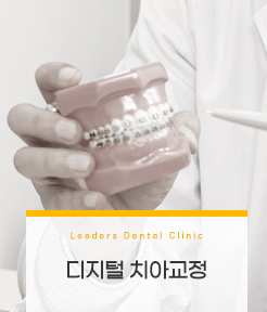 https://www.leadersdental.co.kr/?page_id=16&customize_changeset_uuid=775e6c62-3b14-4cec-b82e-d59ba89194ca