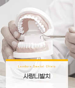 https://www.leadersdental.co.kr/?page_id=16&customize_changeset_uuid=775e6c62-3b14-4cec-b82e-d59ba89194ca